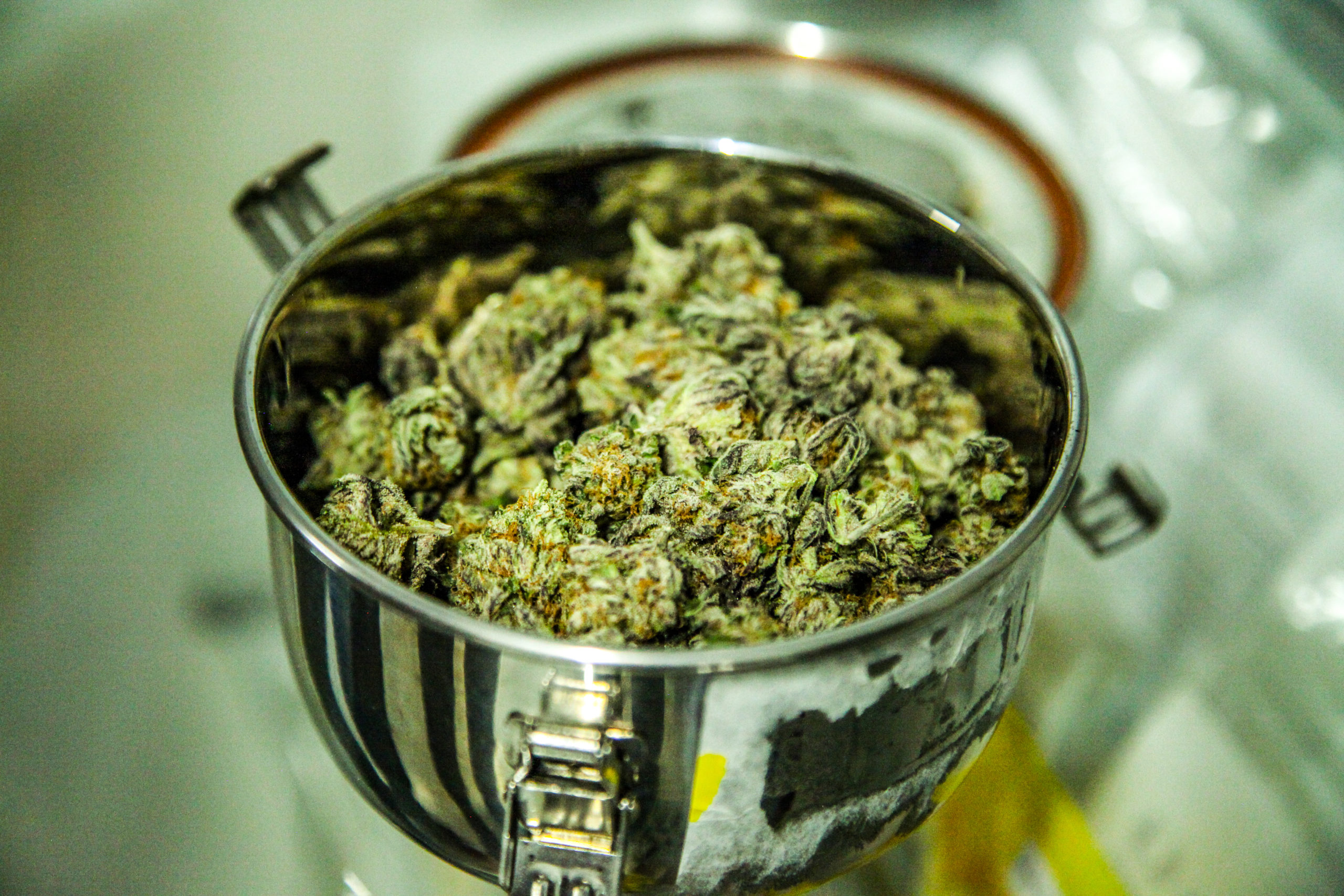Marijuana-Related Arrests Rise in DC Despite Legalization