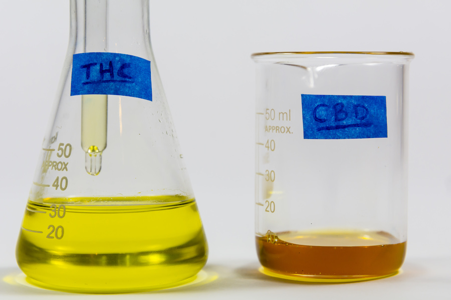 What You Need to Know About the Importance of CBD Lab Testing