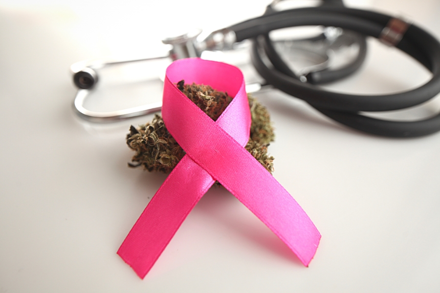 How Cannabis Is Able to Ease the Burdens of Cancer