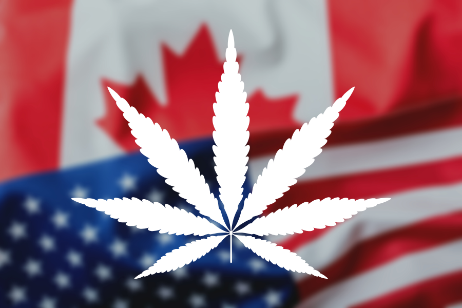 US Cannabis is Best in the World, So Why is Canada Leading the Market?