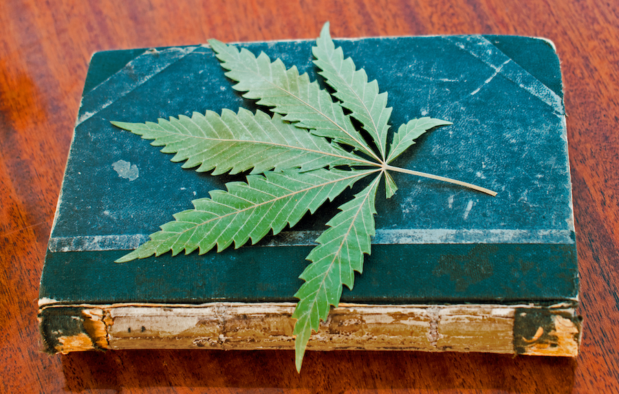 These Top 5 Books About Cannabis Are Totally Worth the Read