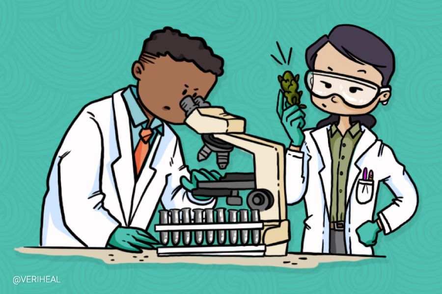 Everything You’ll Ever Need to Know About Cannabis Research