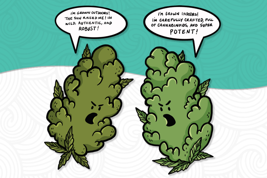 Indoor vs Outdoor Grown Cannabis: Which is Better?