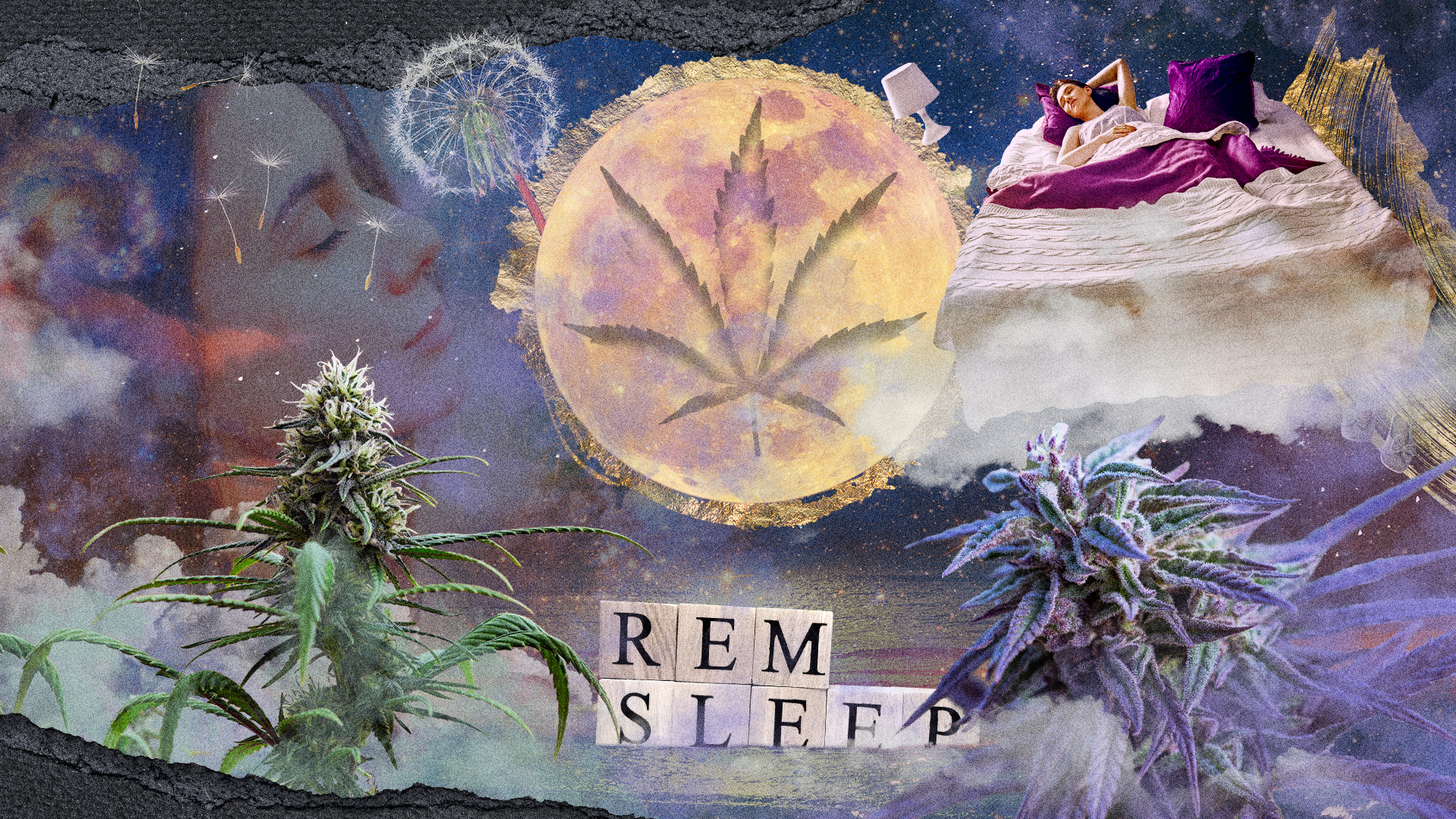 What Happens When You Sleep High? Debunking Cannabis & Dreams