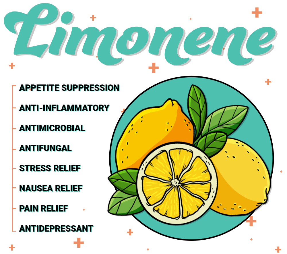 Benefits of Limonene Terpene