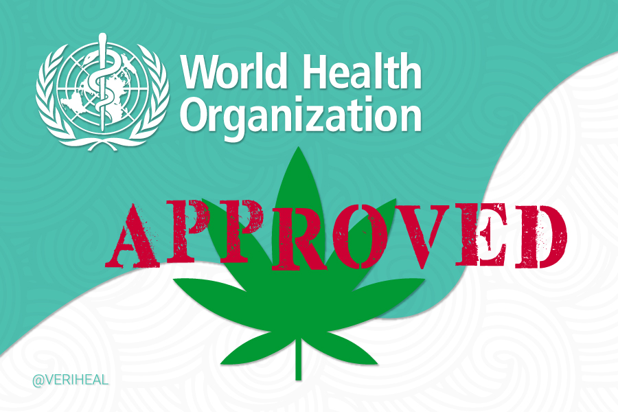 Will The WHO’s New Cannabis Recommendations Loosen International Control?