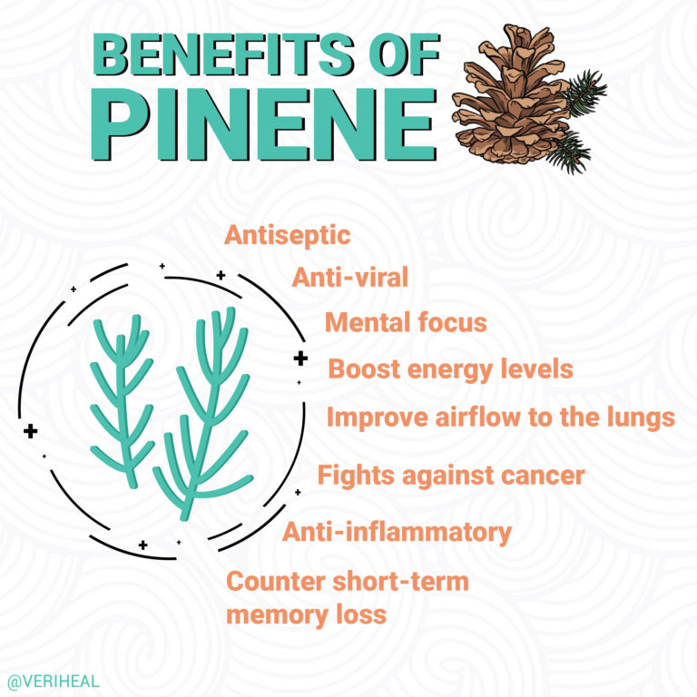 Terpene Spotlight Discovering the Benefits of Pinene