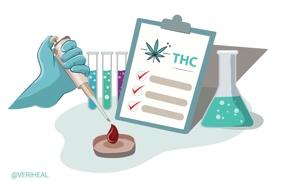 High THC Blood Levels Do Not Equal Increased Intoxication: A Study