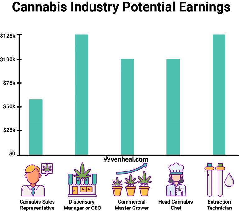 Check Out These 5 HighPaying Cannabis Industry Jobs