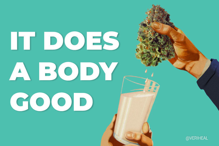 Hemp Milk: It Does a Body Good!
