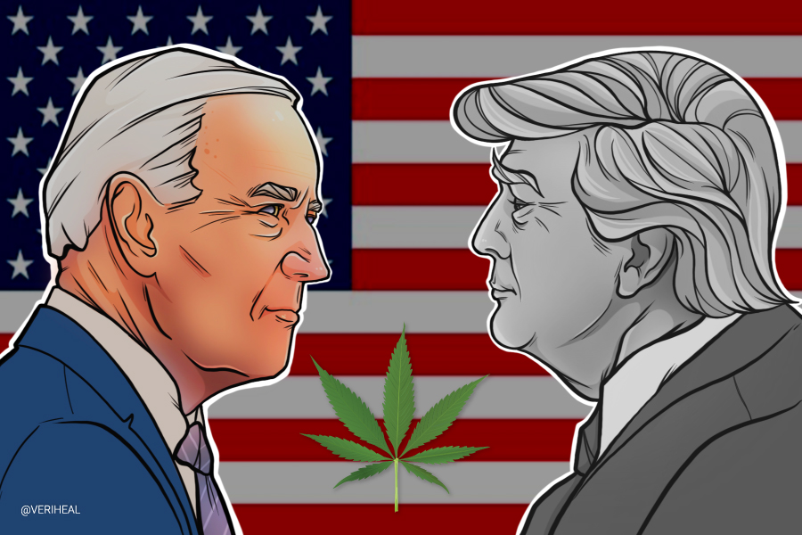 What Does a Joe Biden Presidency Mean for Cannabis?