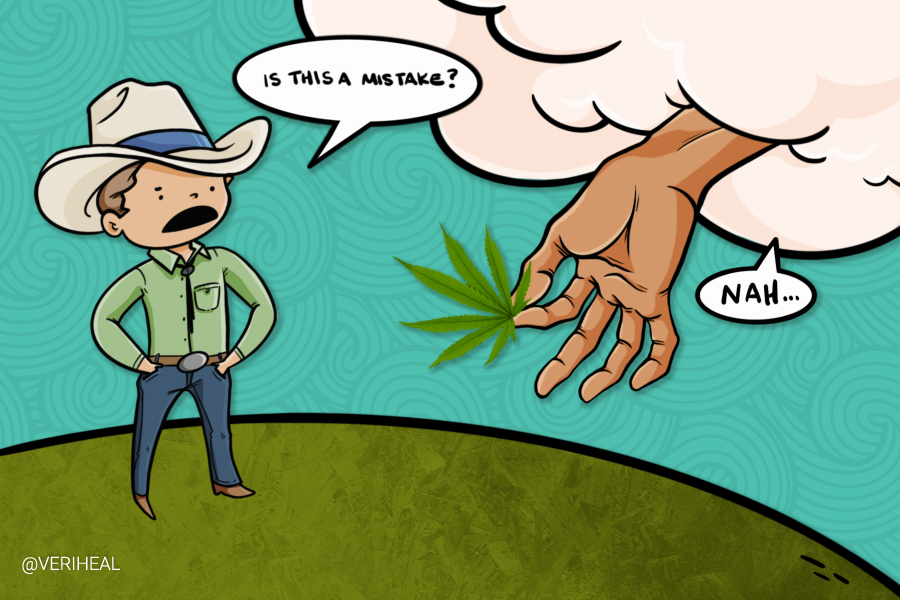 What Would Happen if Texas Legalized Cannabis?