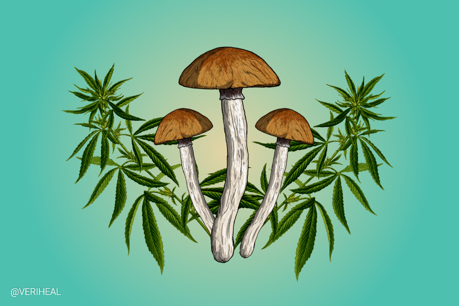 Combining the Therapeutic Powers of Cannabis and Psilocybin