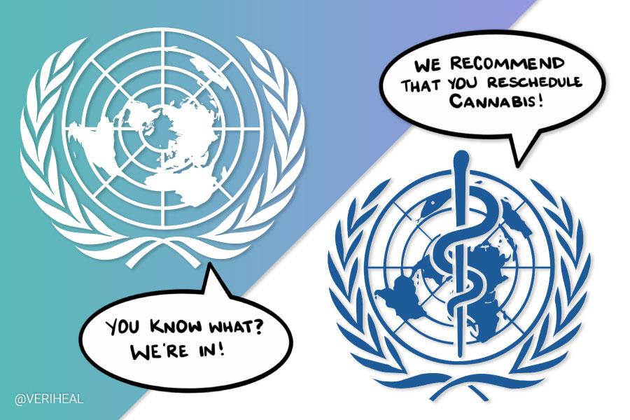 The UN and WHO Agree on Rescheduling Cannabis – What are the Implications?