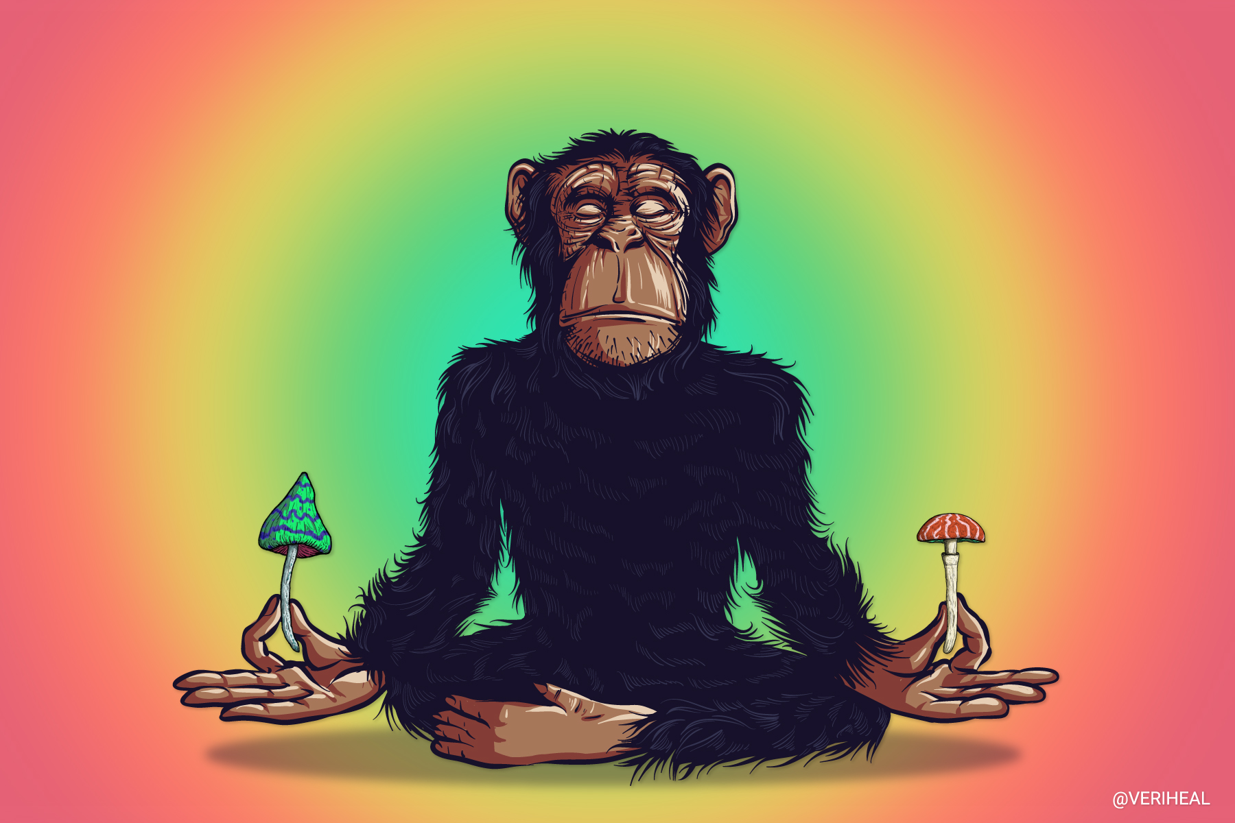 Evolution to Revolution: A Brief History of Psychedelics