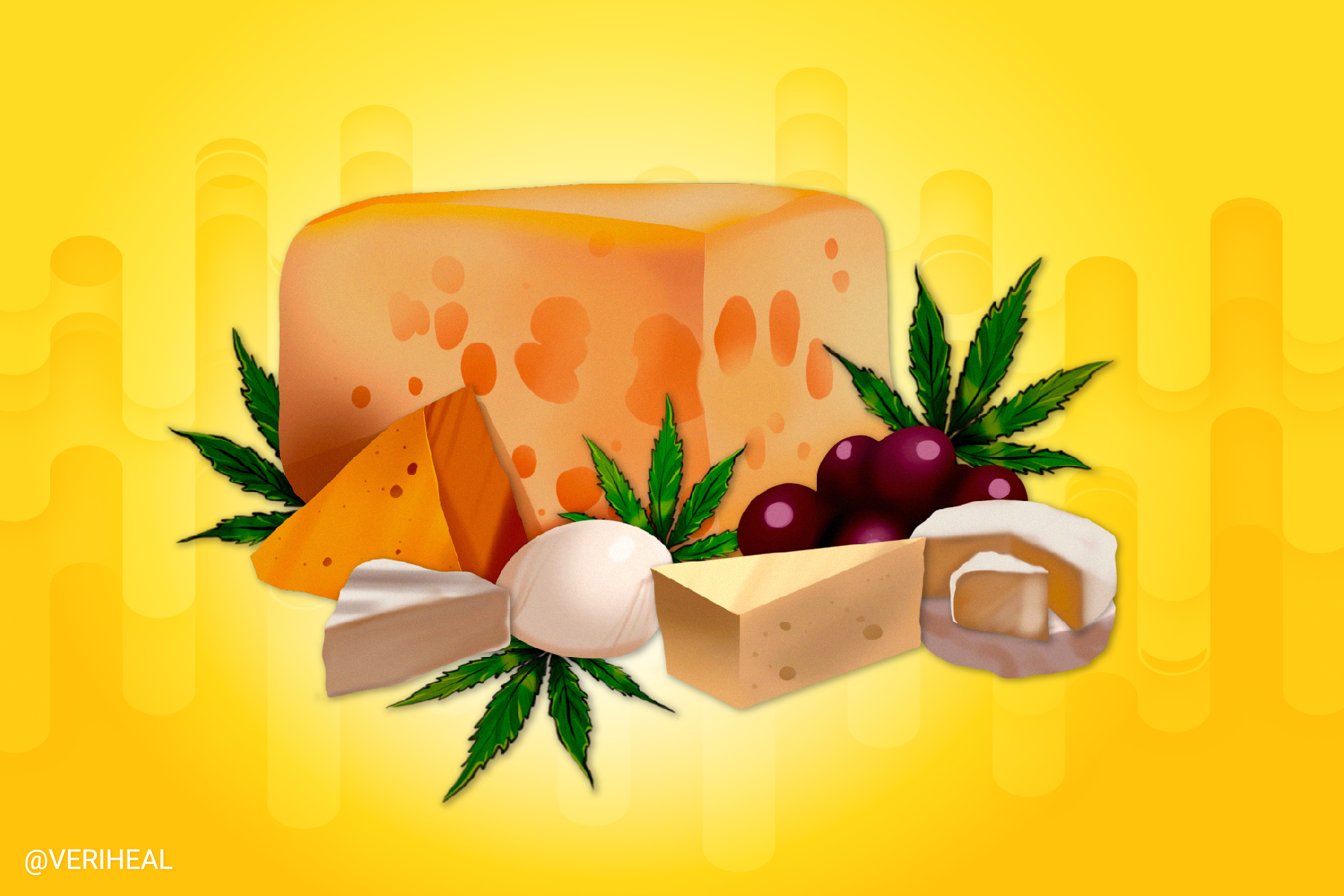 Say Cheese, Please – The Story of the Exodus Cheese Strain