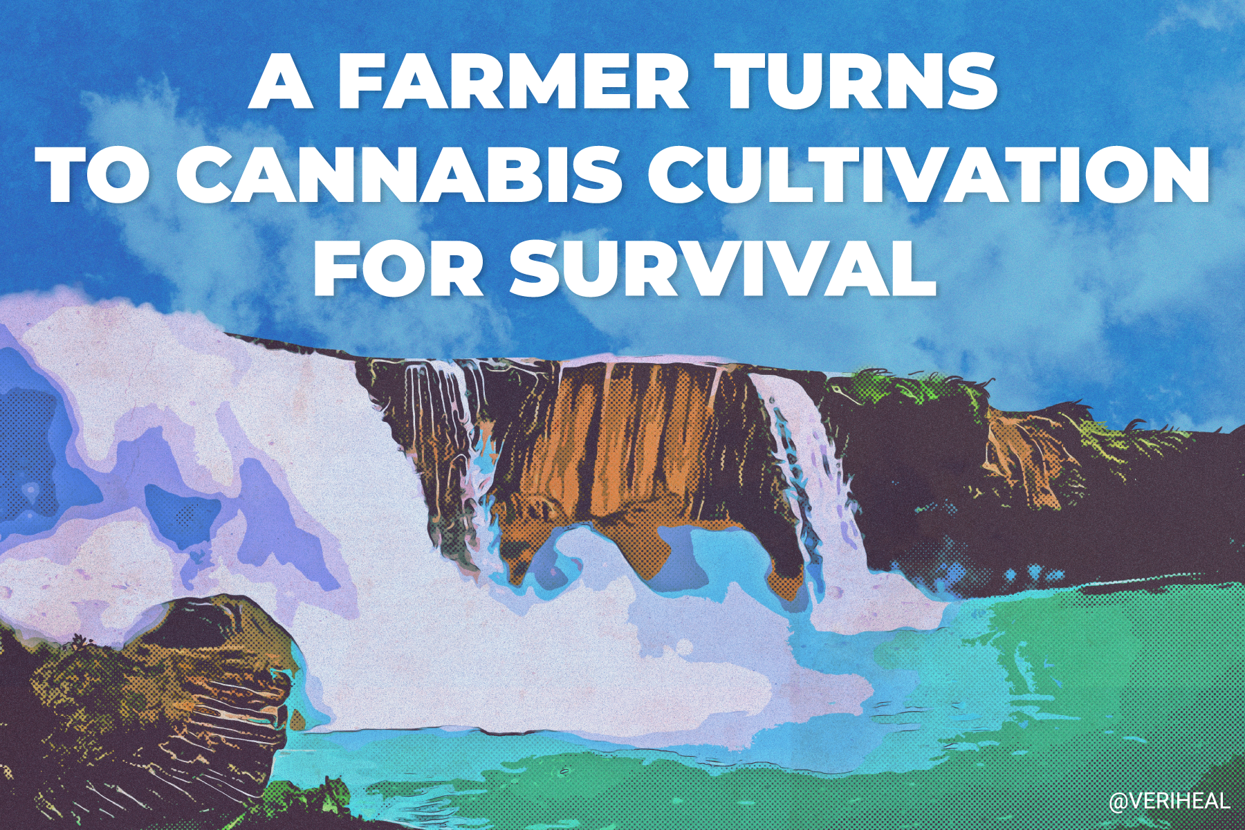 A Farmer Turns to Cannabis Cultivation for Survival
