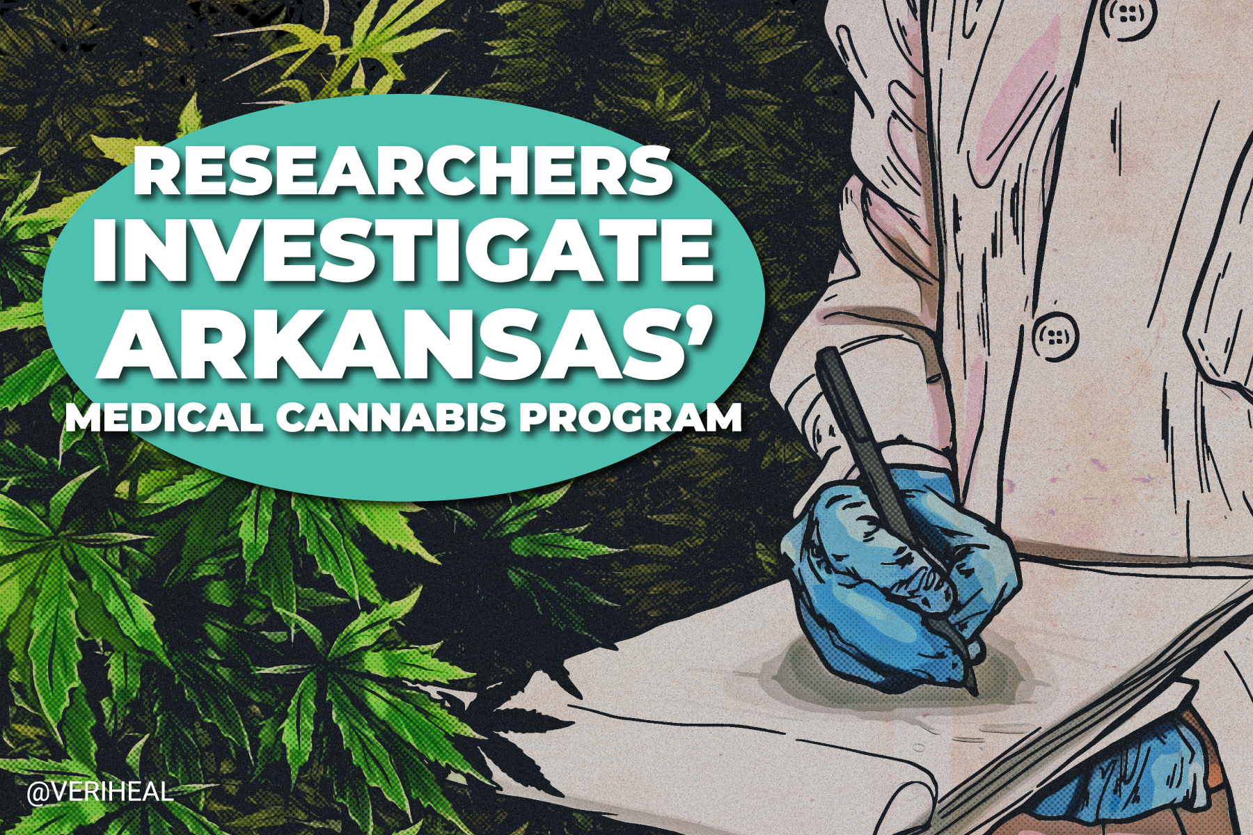Researchers To Investigate Arkansas’ Medical Cannabis Program
