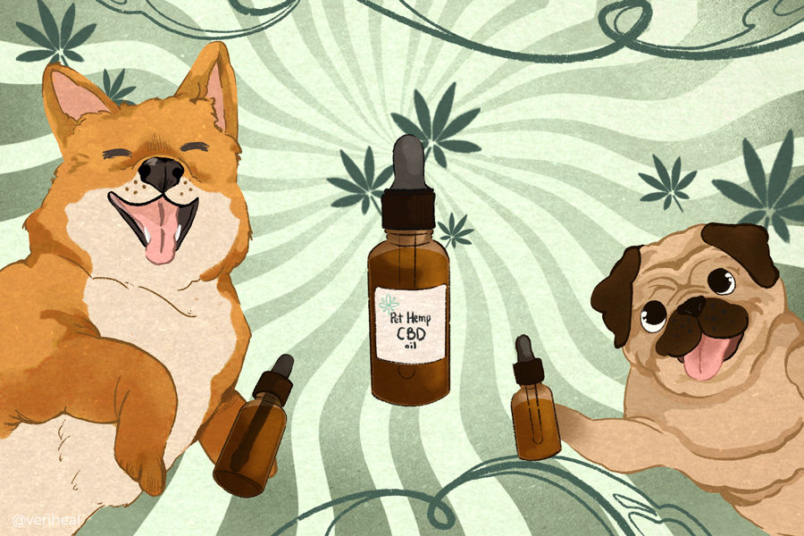 CBD for Pets: Does It Actually Work?