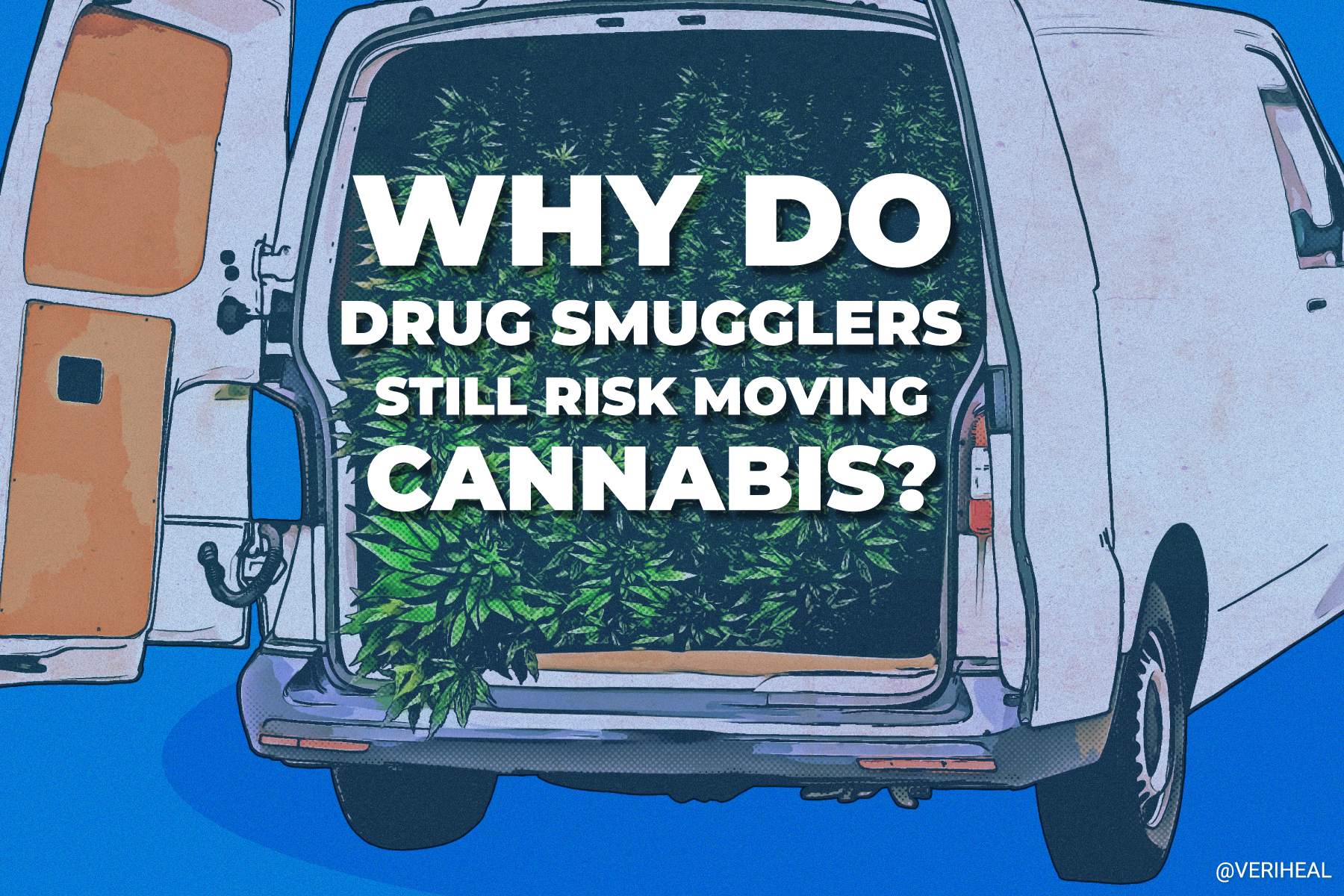 Why Do Drug Smugglers Still Risk Moving Cannabis?