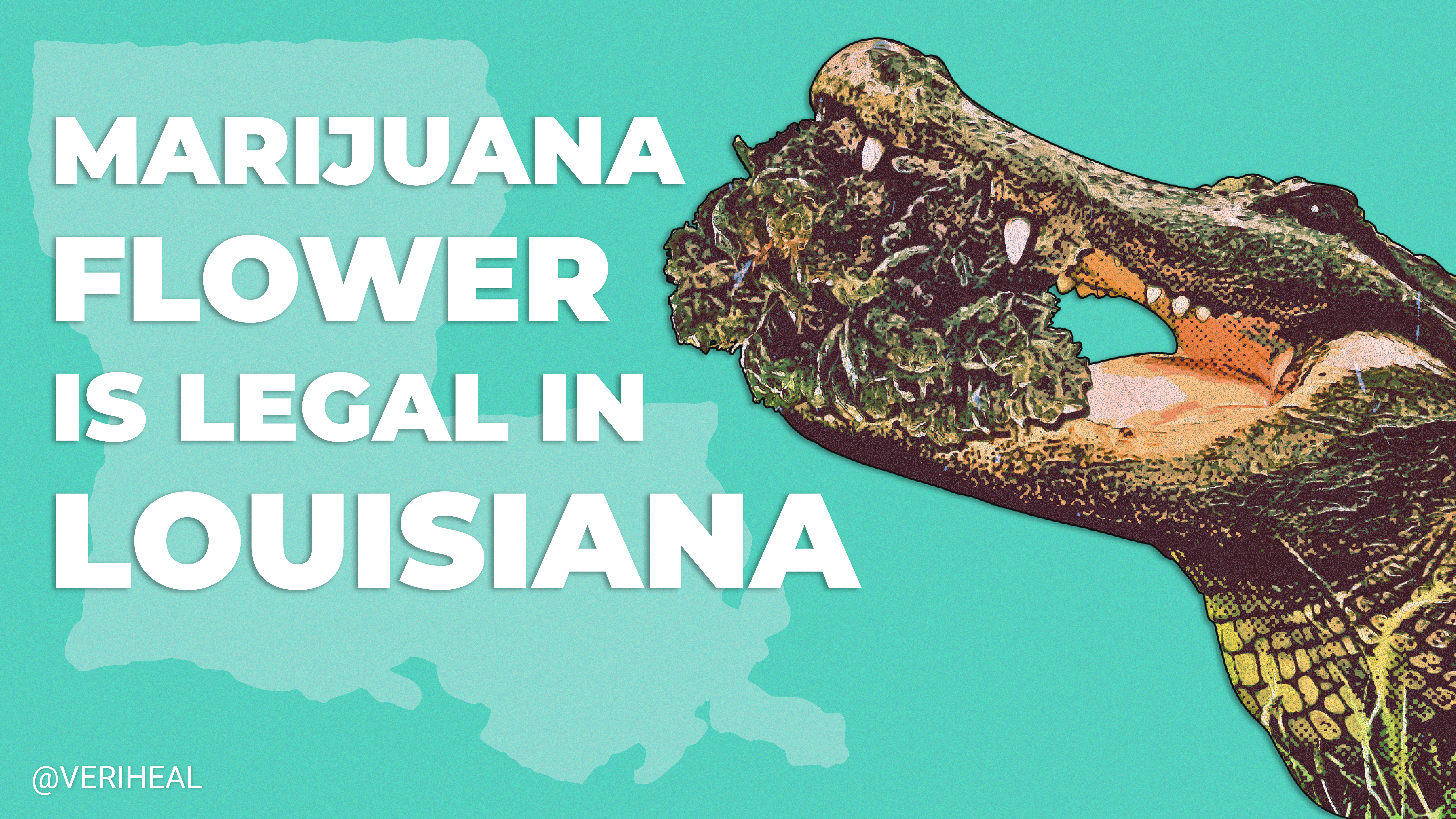 Louisiana’s Medical Cannabis Program Expansion, Mississippi’s Legalization Roadblocks, & Colorado’s Industry Records