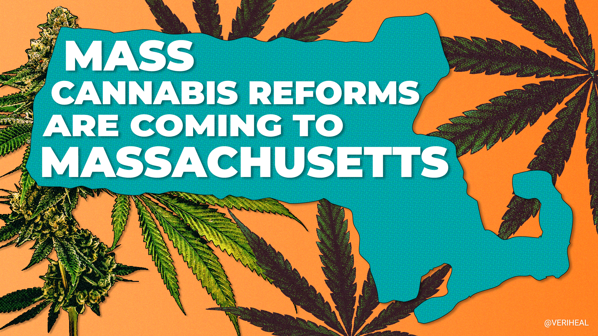 Big Changes Coming to Massachusetts Cannabis Industry