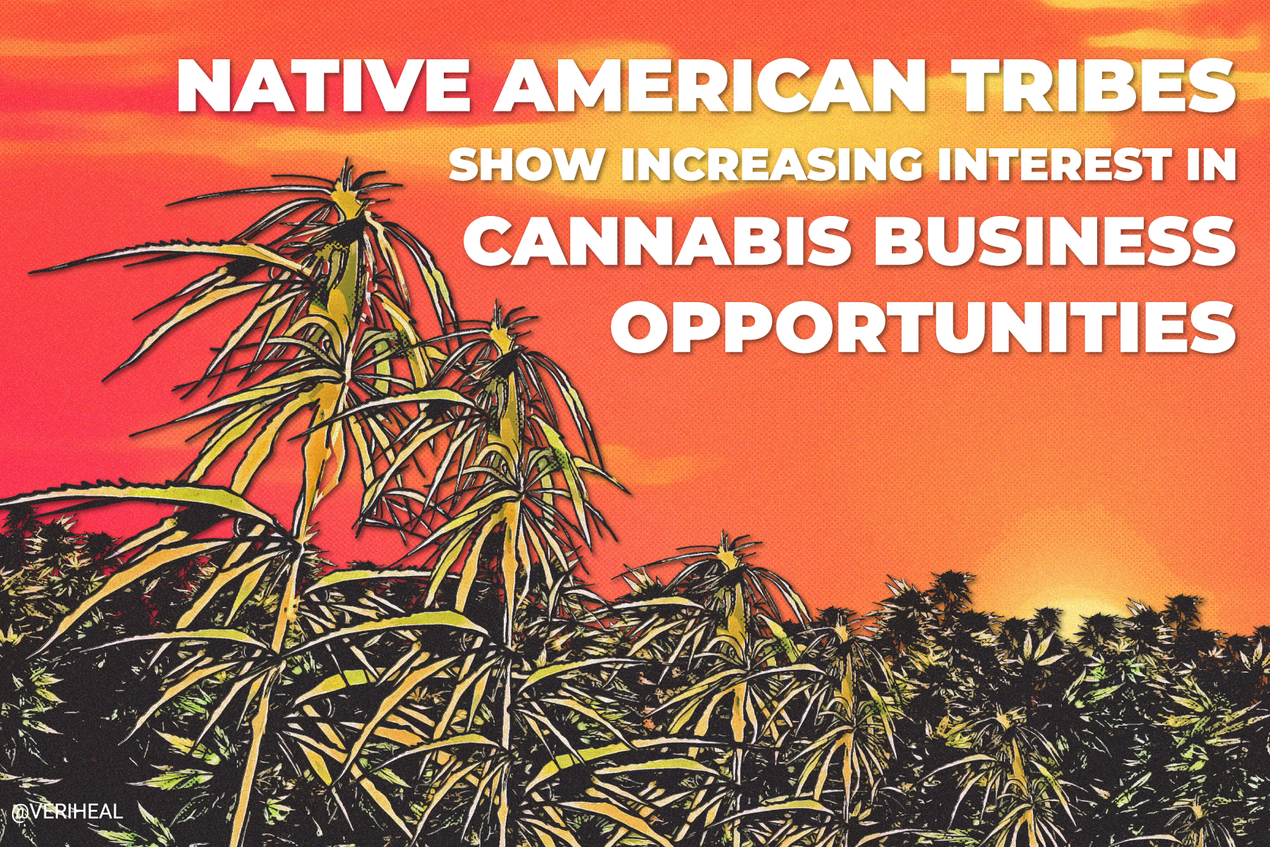 Native American Tribes Show Increasing Interest in Cannabis Business Opportunities