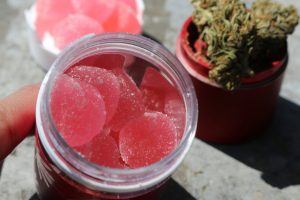cannabis edible