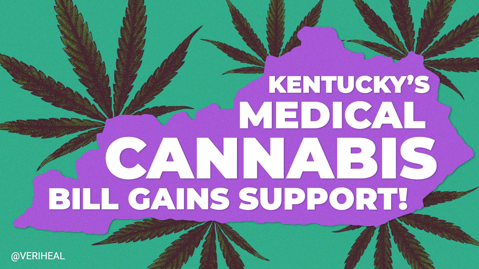 Kentucky House Endorses Cannabis With Passing of Medical Cannabis Bill