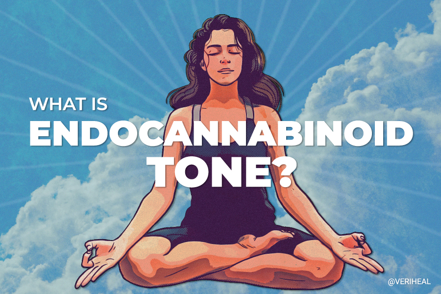 Endocannabinoid Tone: What It Means and Why It’s Important