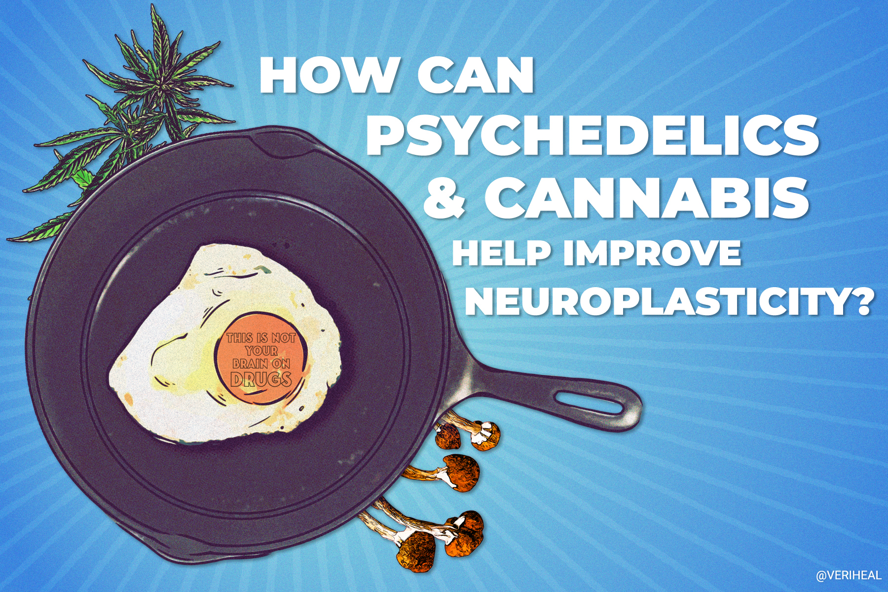 How Can Psychedelics and Cannabis Help Improve Neuroplasticity?