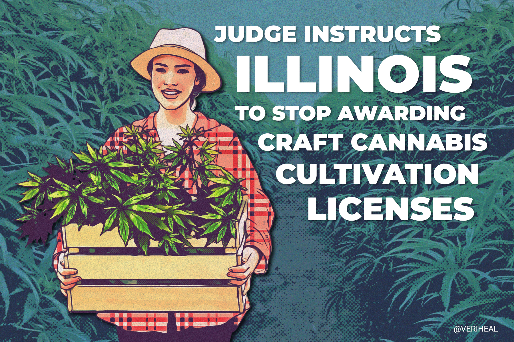 Judge Instructs Illinois to Stop Awarding Adult-Use Craft Cannabis Cultivation Licenses