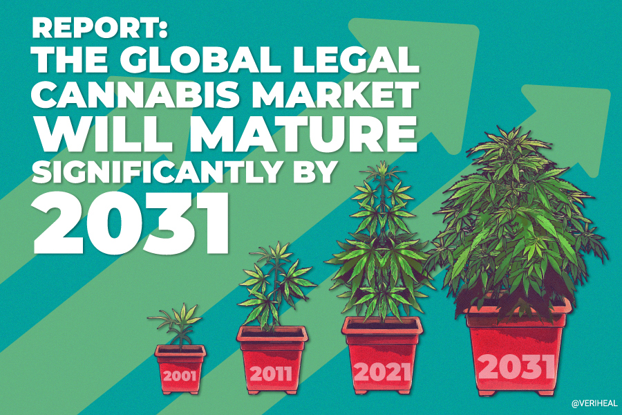 Report: Global Legal Cannabis Market Will Mature Significantly by 2031