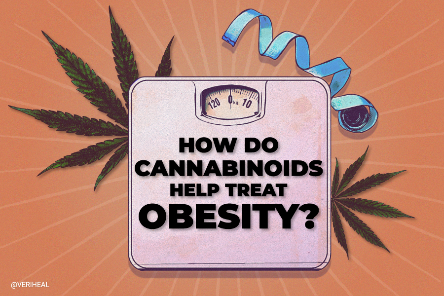 University of Toronto Researcher Prepares to Investigate Use of Cannabinoids to Treat Obesity