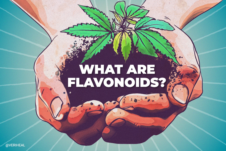 What Are Flavonoids, How Do They Work, and Are They Therapeutic?