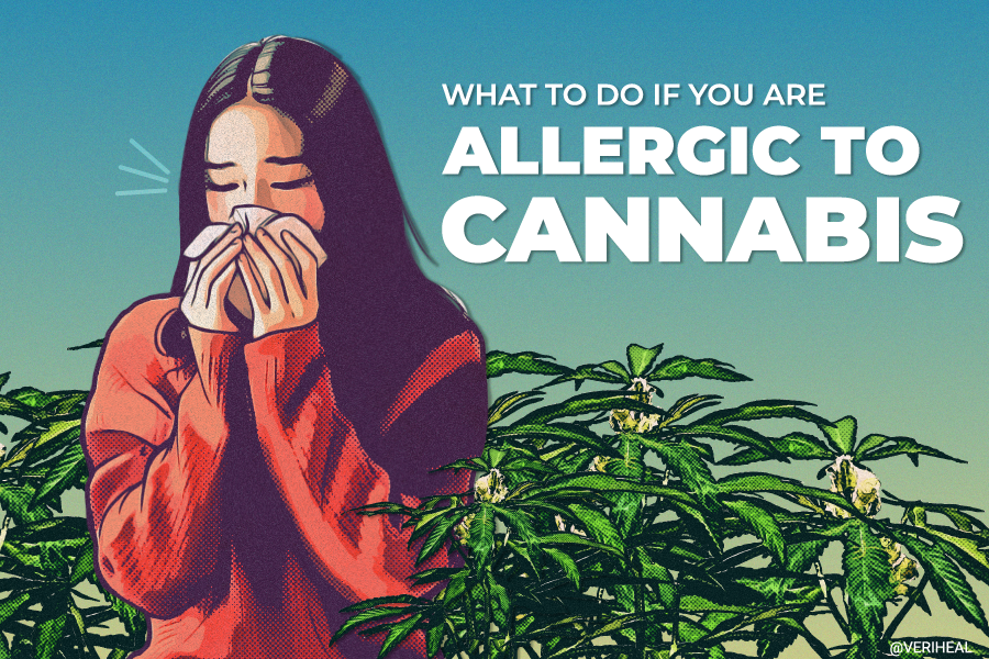 Can You Be Allergic to Cannabis?