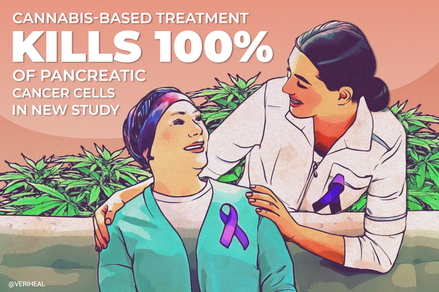 Cannabis-Based Drug Kills 100% of Pancreatic Cancer Cells in New Study