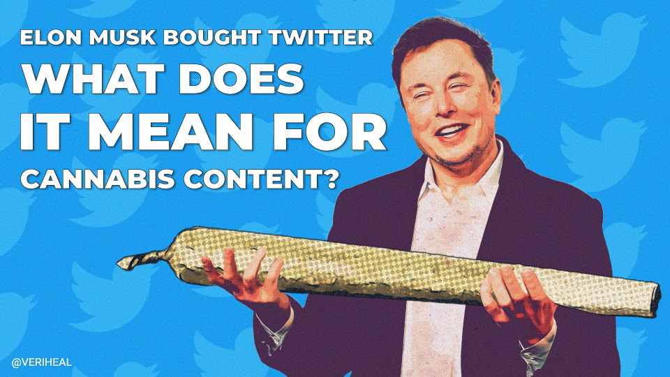 Elon Musk Bought Twitter—What Does It Mean for Cannabis Content?