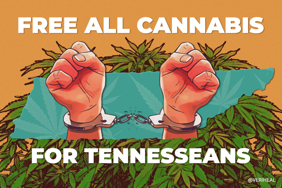 Free All Cannabis for Tennesseans: Is It for Real or Just Another Act?