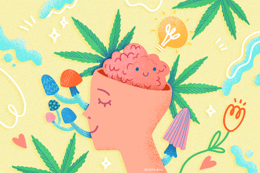 How Can Psychedelics and Cannabis Help Improve Neuroplasticity?