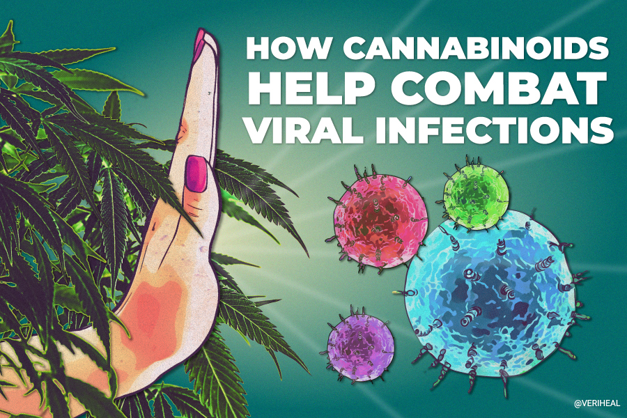How Cannabinoids Help Combat Viral Infections