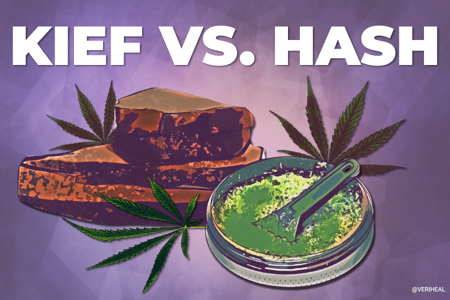 Kief VS Hash: All You Need To Know! - Flight2Vegas Smoke Shop