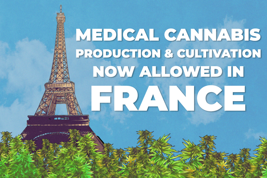 Medical Cannabis Production and Cultivation Now Allowed in France