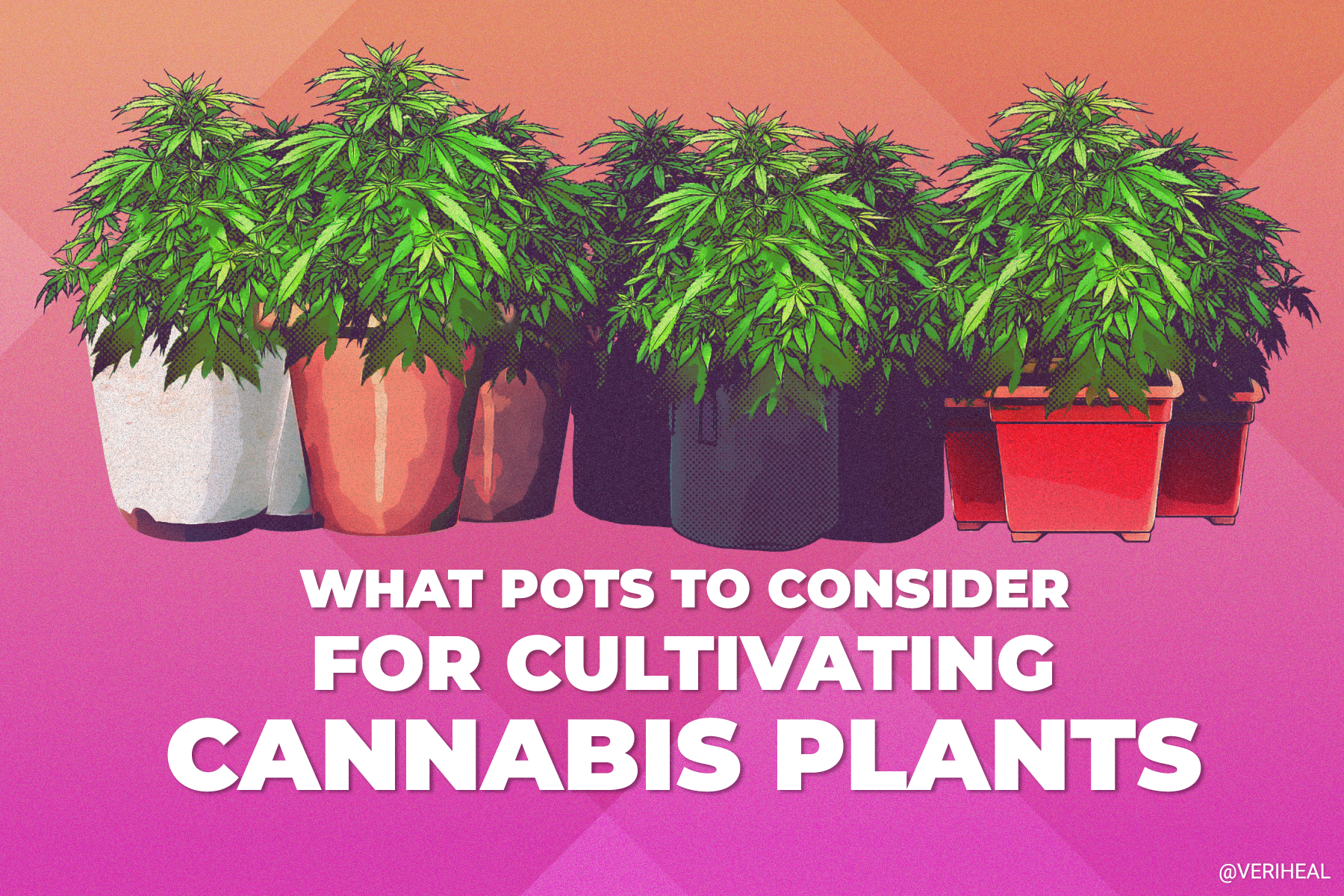 What to Consider When Choosing a Proper Pot for Cultivating Cannabis