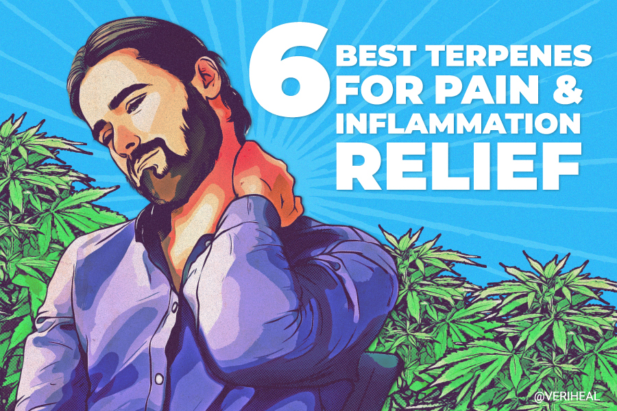 6 Best Terpenes for Pain and Inflammation Relief