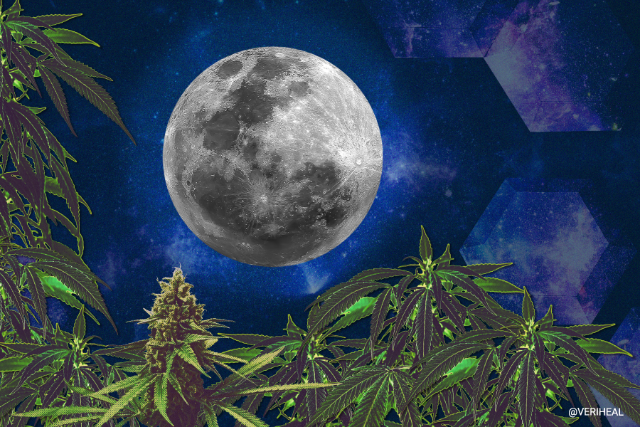 Cannabis Moon Rocks: Can They Be Medicinal?