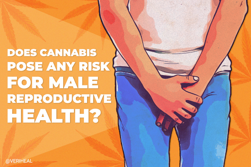 Does Cannabis Pose Any Risks for Male Reproductive Health?