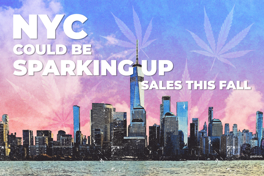 NYC Could Be Sparking Up Recreational Cannabis Sales This Fall