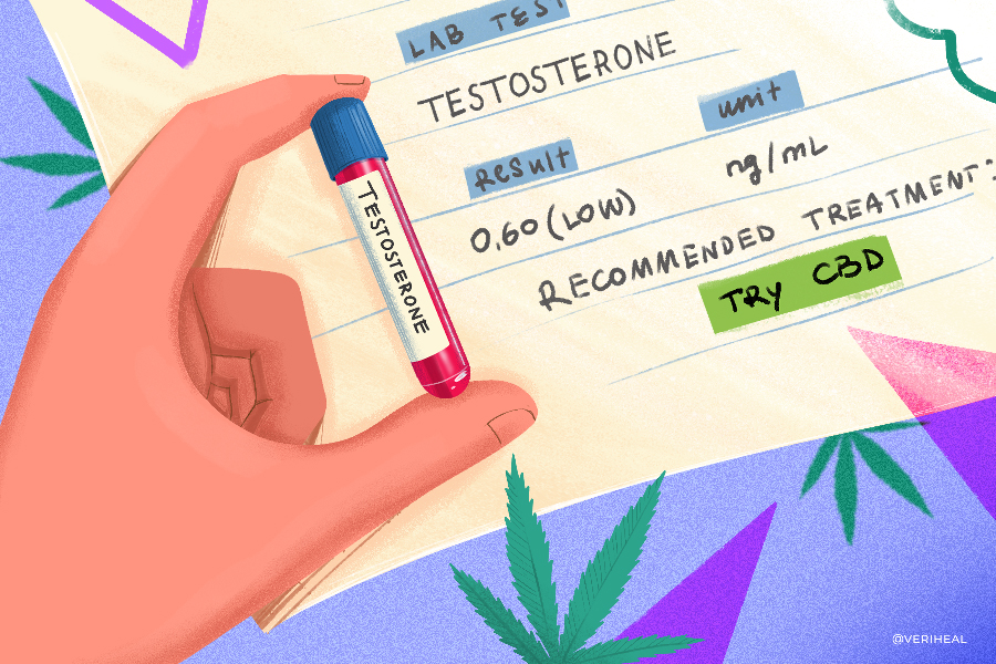 CBD and Testosterone: How Does the Cannabinoid Affect Hormones?
