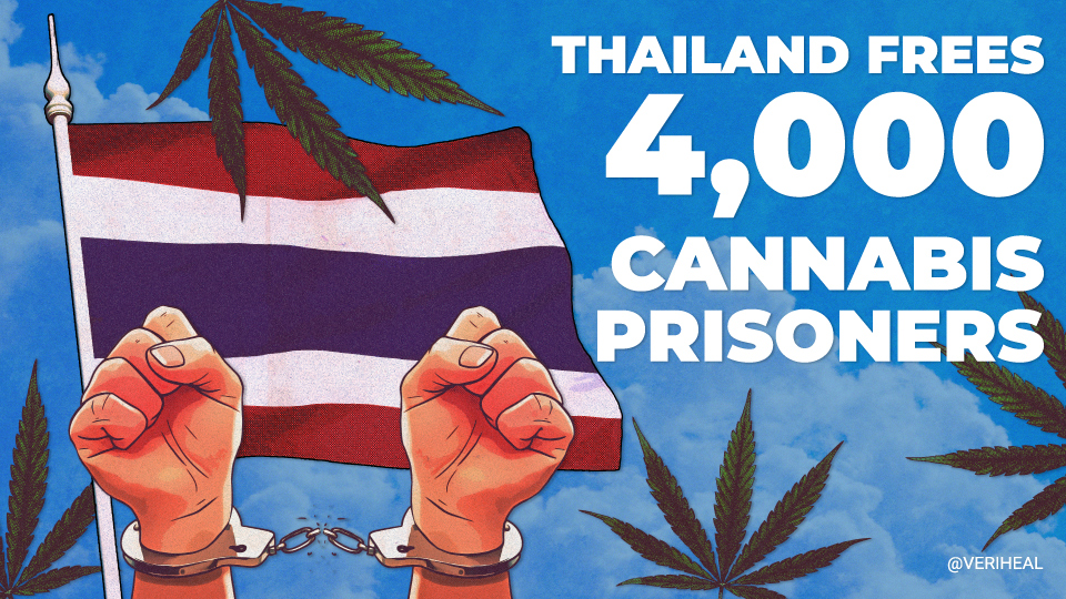 Thailand’s Cannabis Turn-Around, Texas GOP’s Drug Policy Platform, and a New Study on Cannabis Road Safety